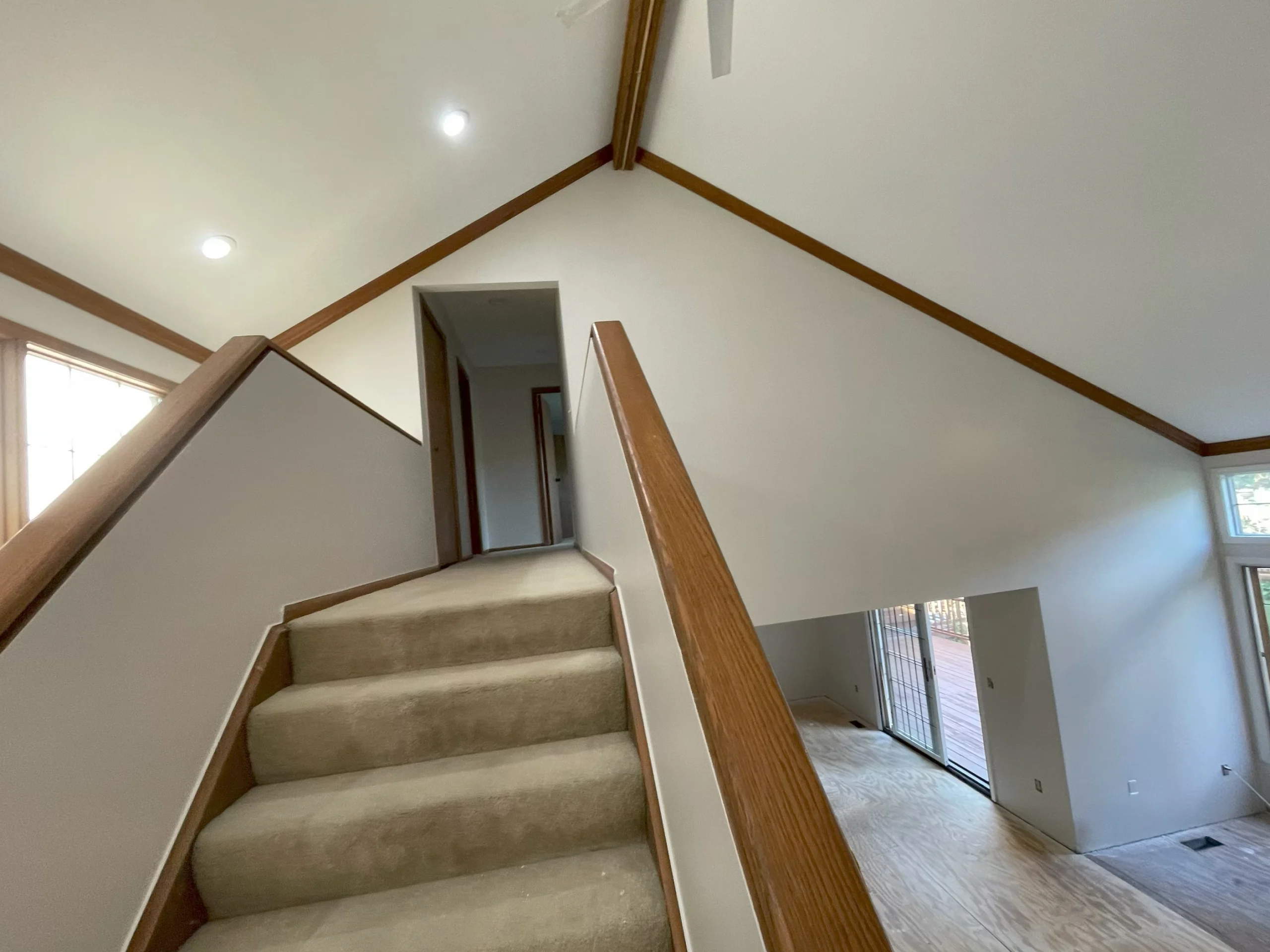 Professional painting service